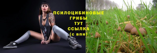 соль ск Белоозёрский