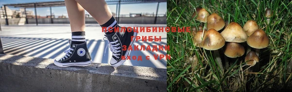 соль ск Белоозёрский