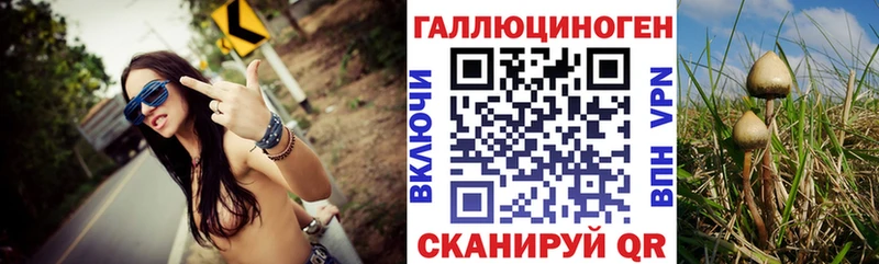 где можно купить наркотик  Холм  Галлюциногенные грибы Cubensis 